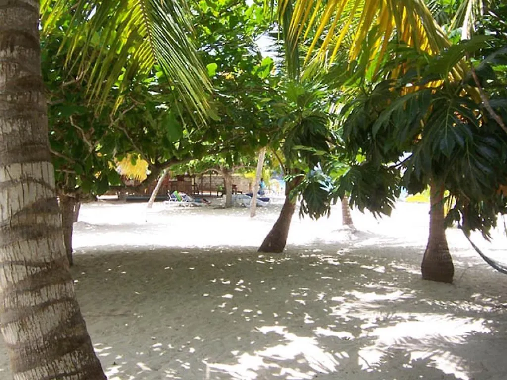 Yellow Bird Sea Negril