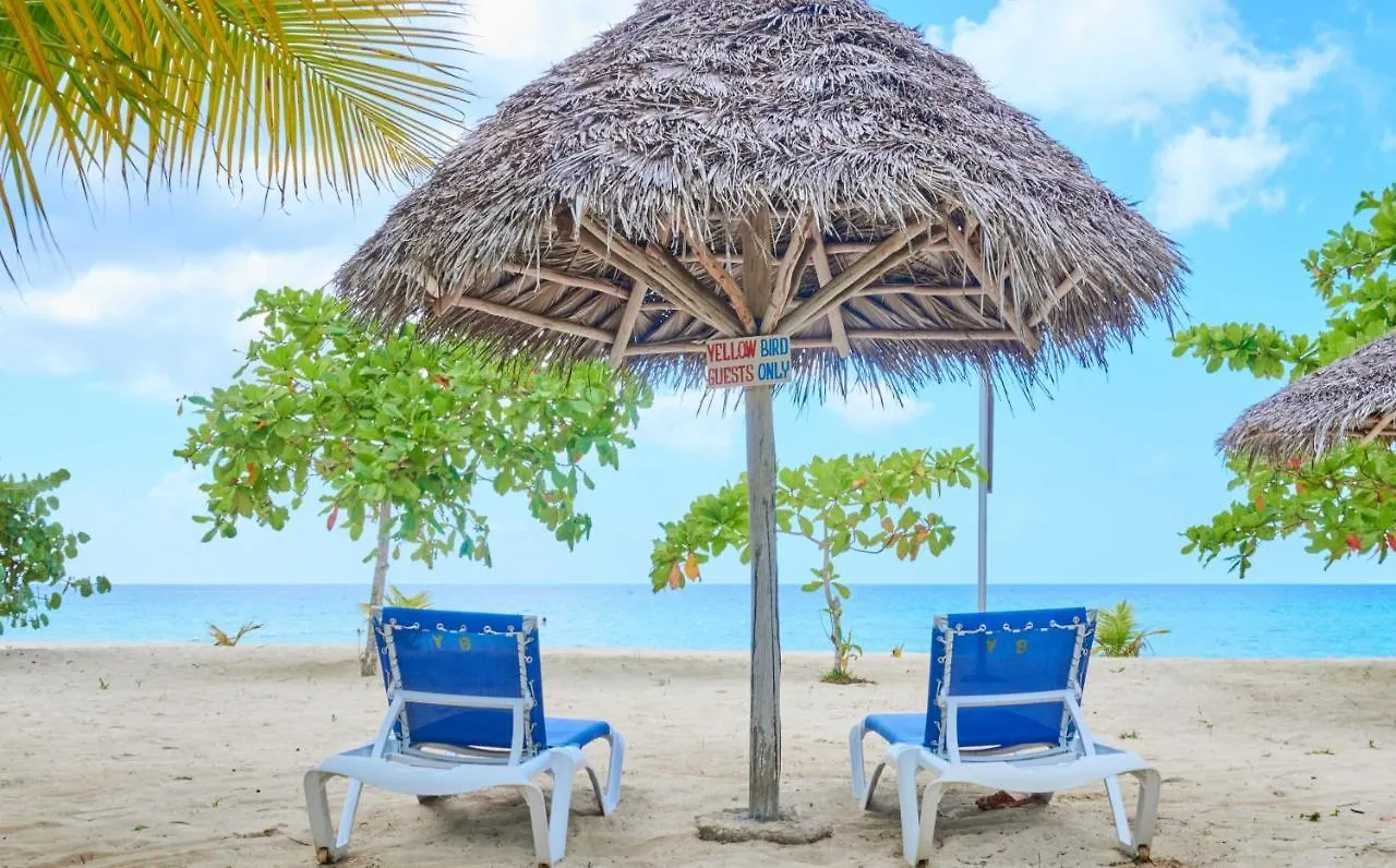 Yellow Bird Sea Negril