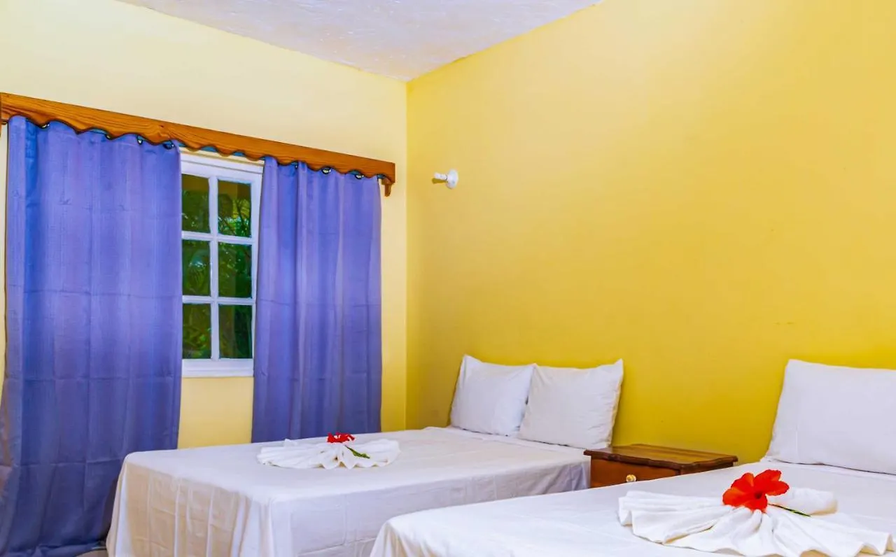 Yellow Bird Sea Negril Giamaica